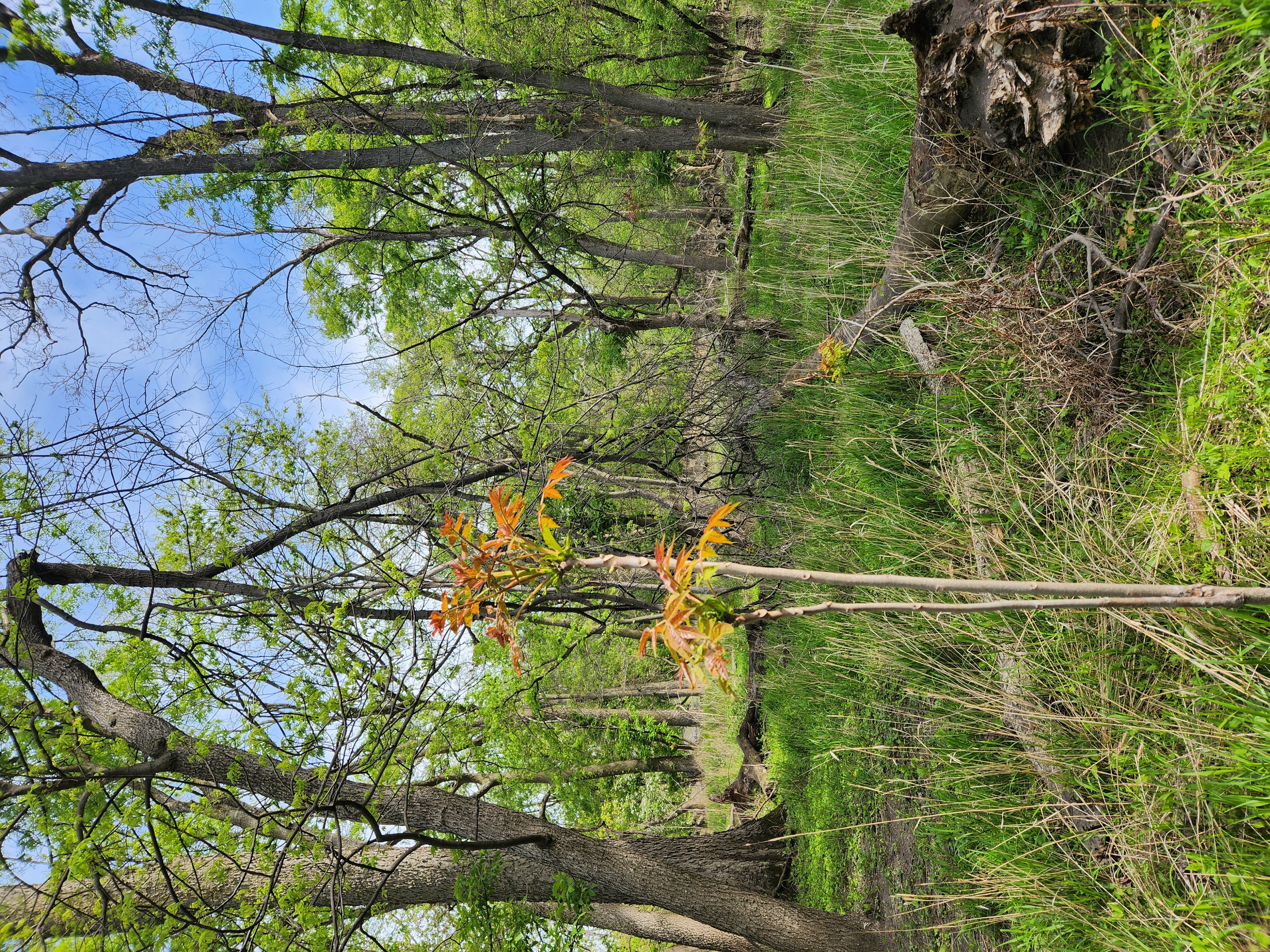 20250507_095700